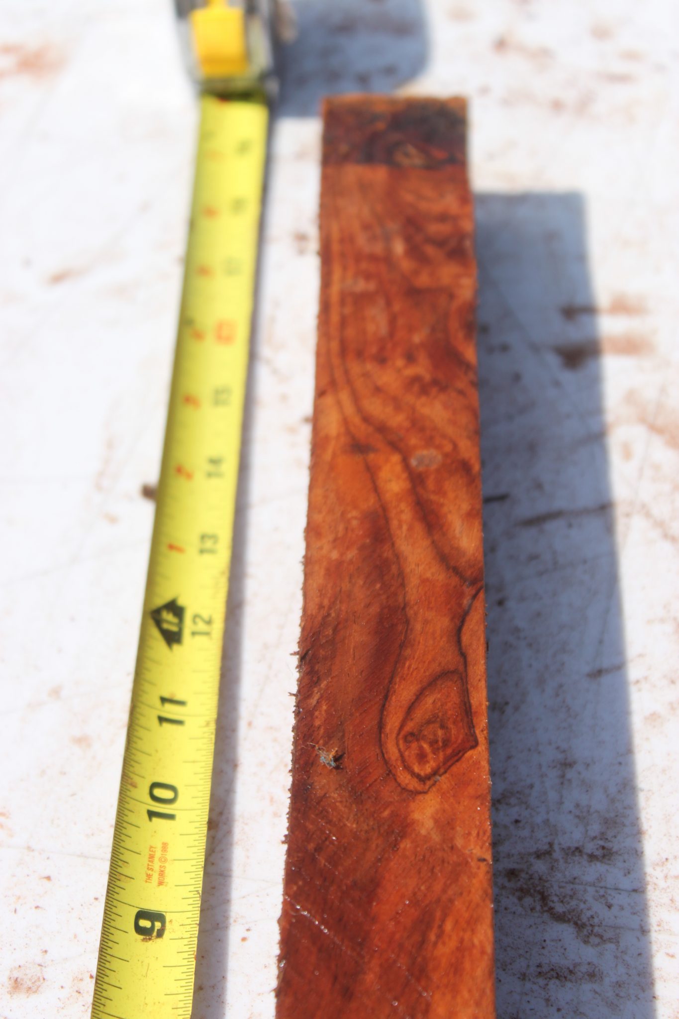 COCOBOLO TURNING BLANK