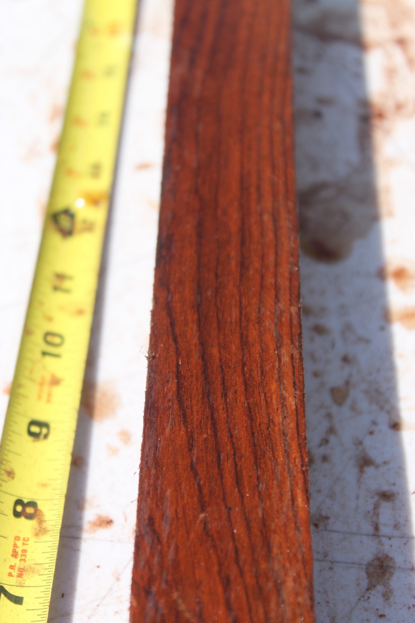 COCOBOLO TURNING BLANK