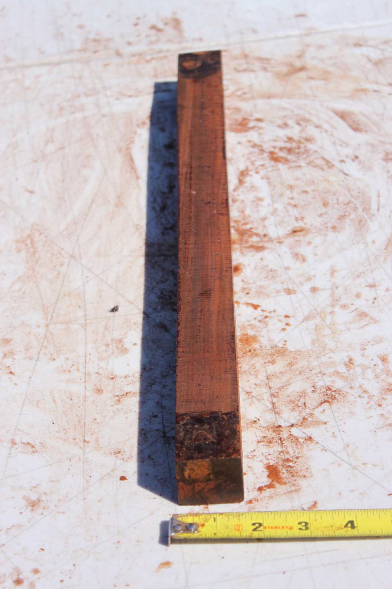 COCOBOLO TURNING BLANK - Image 3