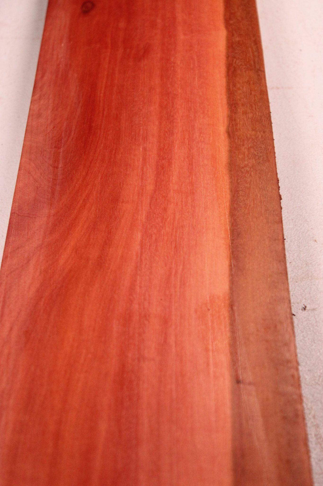 CHICO ZAPOTE BOARD - Image 3