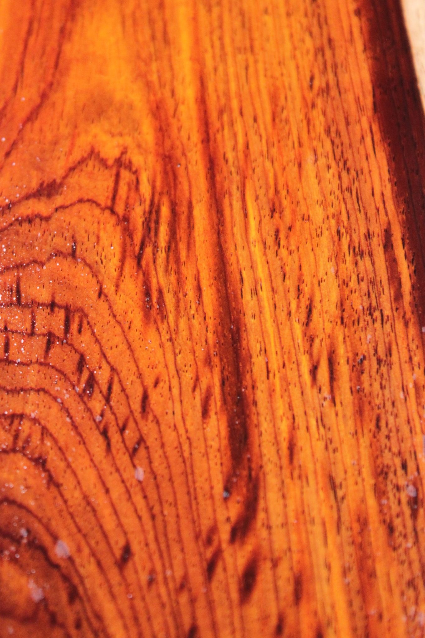 COCOBOLO BOARD - Image 4