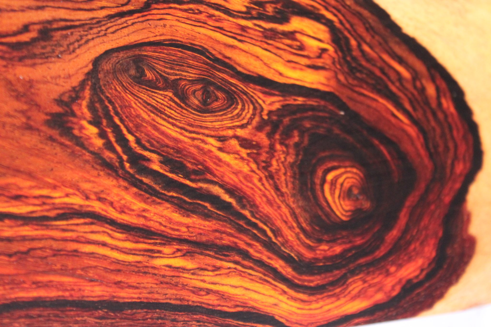 COCOBOLO BOARD