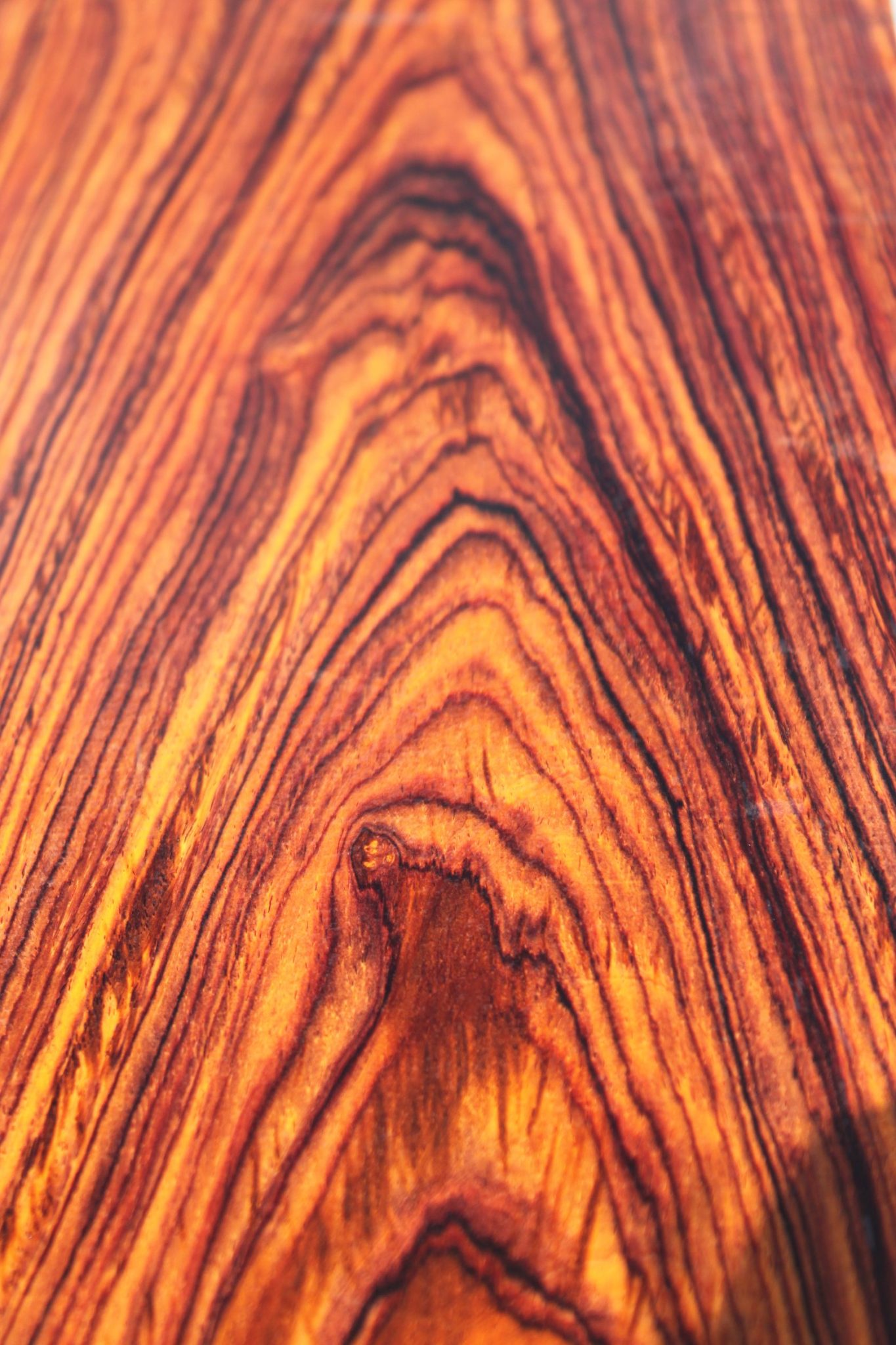 COCOBOLO LUTHIER BILLET - Image 6