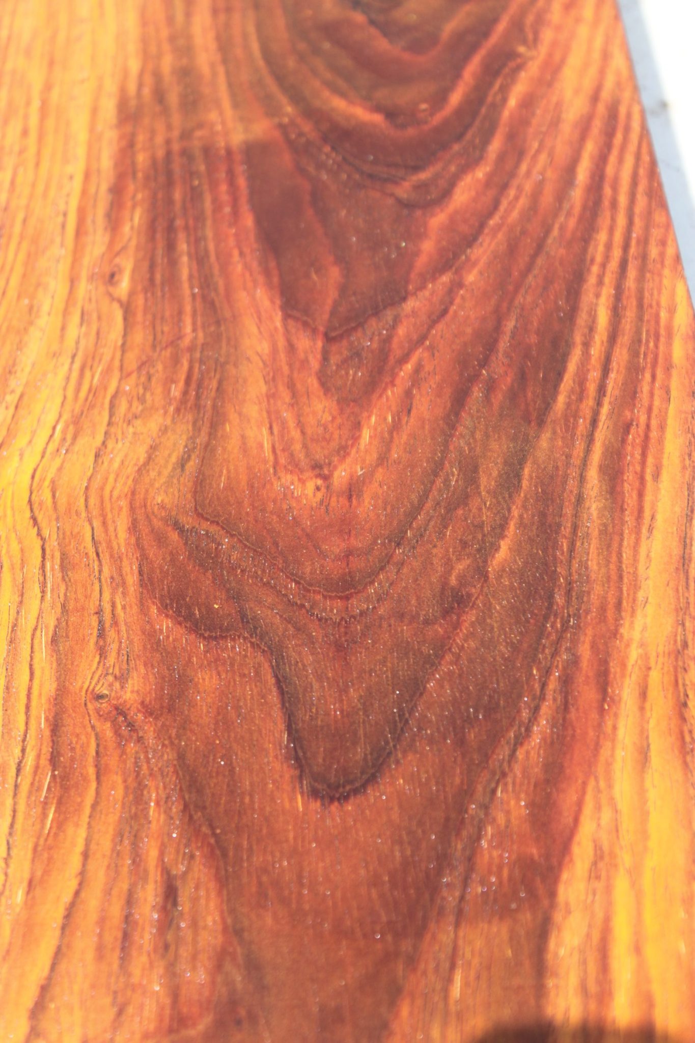COCOBOLO LUTHIER BILLET - Image 4