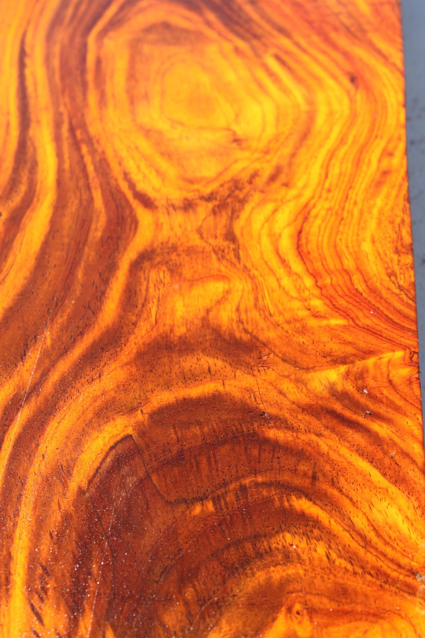 COCOBOLO LUTHIER BILLET - Image 2