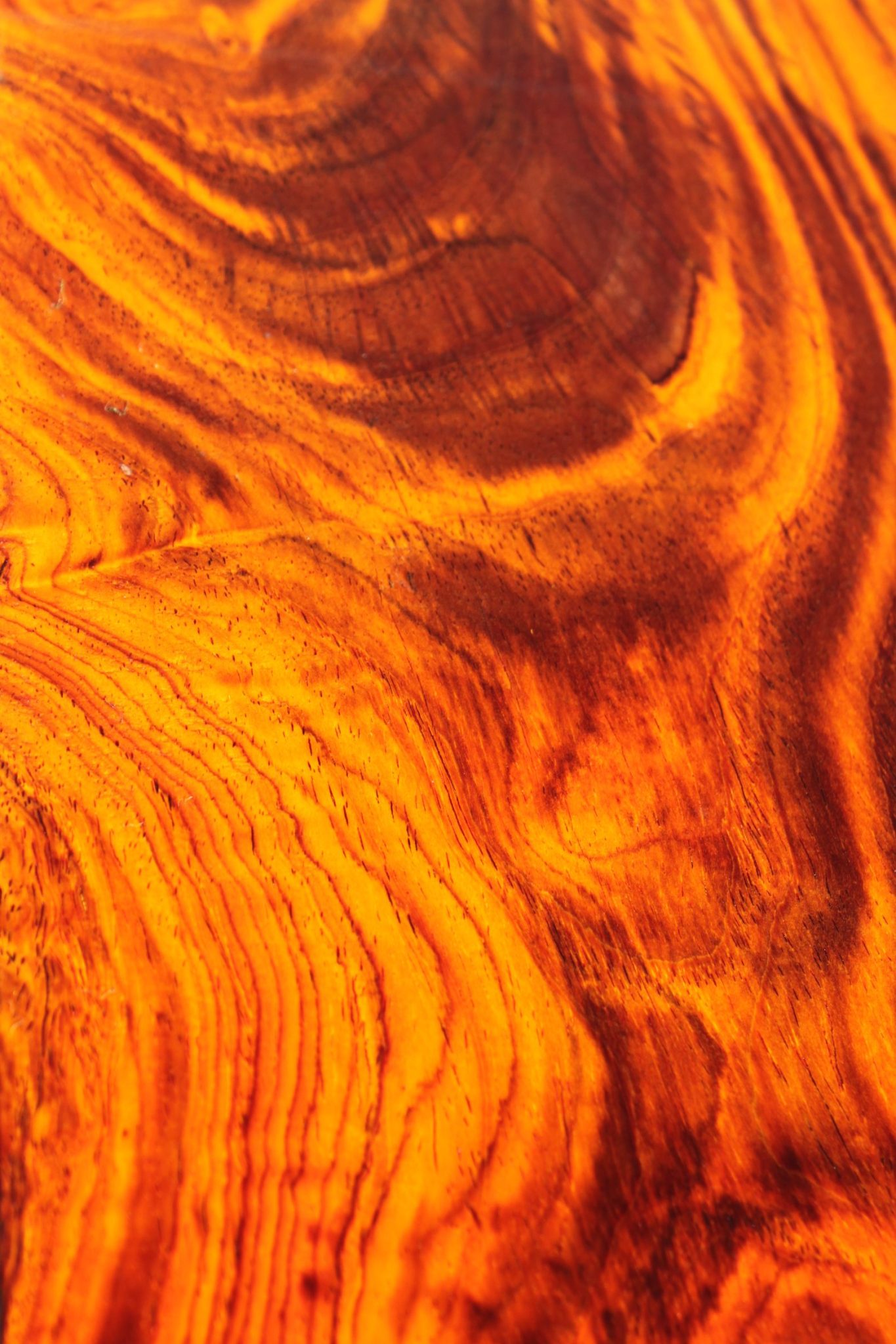 COCOBOLO LUTHIER BILLET - Image 3