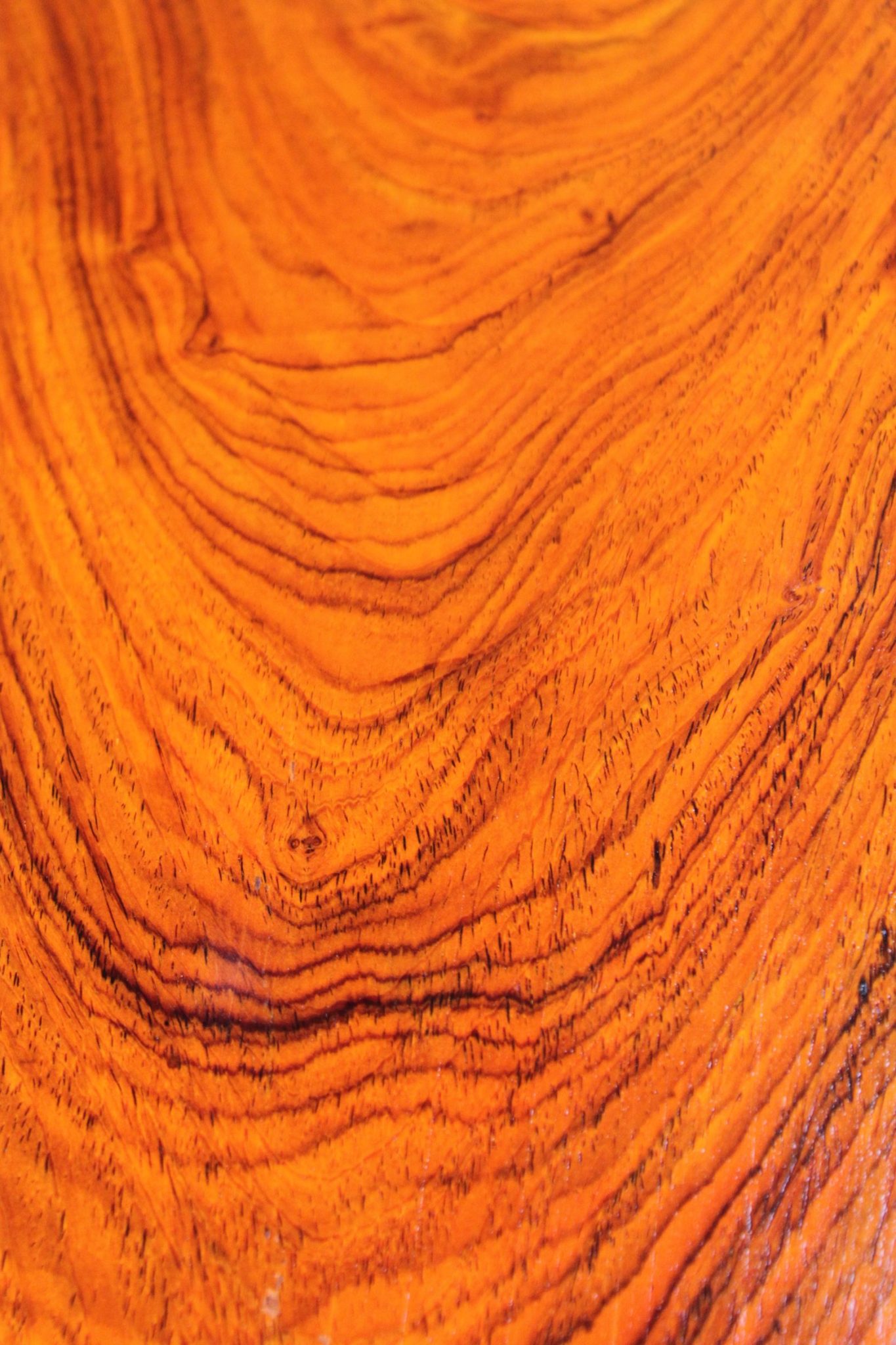 COCOBOLO LUTHIER BILLET - Image 2