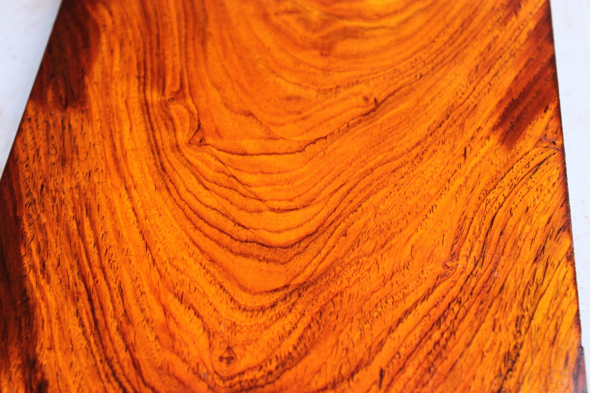 COCOBOLO LUTHIER BILLET - Image 3