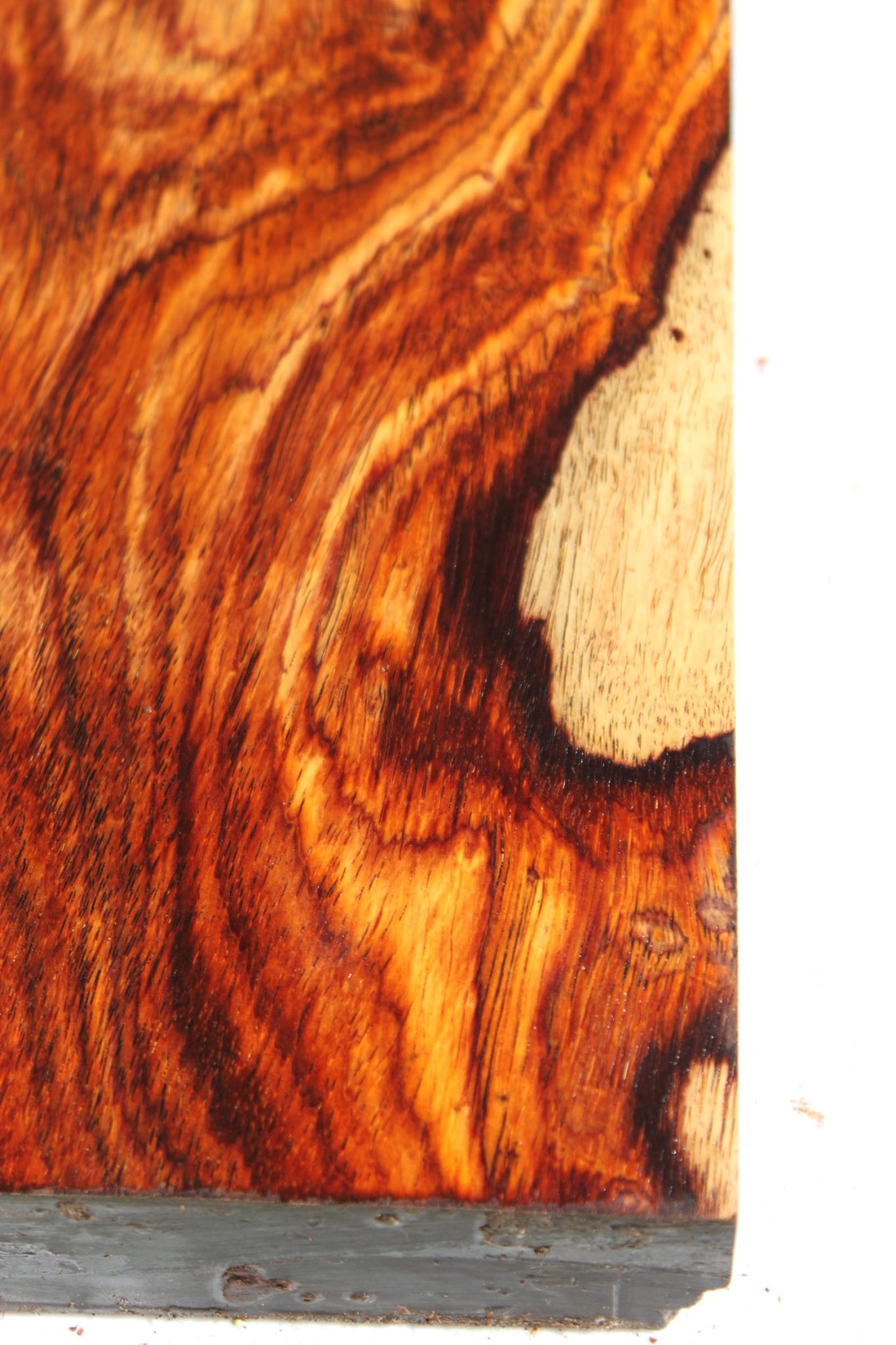 COCOBOLO LUTHIER BILLET - Image 4
